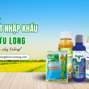 quan-ly-chat-thai-chan-nuoi-bao-ve-moi-truong-giai-phap-ben-vung