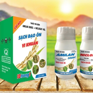 CẶP ĐÔI 10 TRONG 1