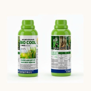 BIO COOL-SIÊU DIỆT NẤM KHUẨN