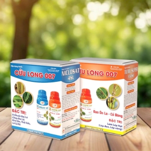 CẶP ĐÔI ĐẠO ÔN & VI KHUẨN - CỬU LONG 007